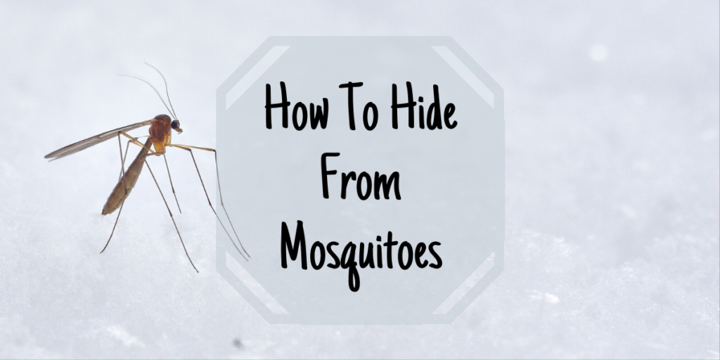 how to avoid mosquitoes header image of mosquitoes