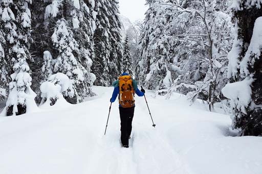 man hiking in winter on snowy trail through a forest