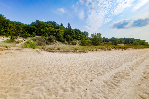 Indiana Dunes Park view from beach to hiking trails